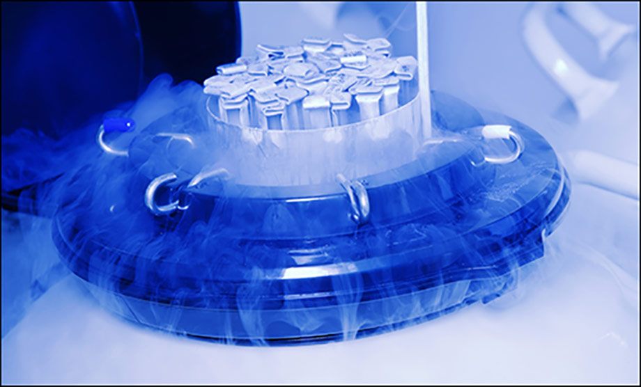 Protecting Precious Cargo: Safety Monitoring at IVF and Cryogenic Facilities